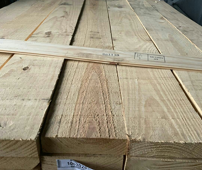 夏津阿根廷松木